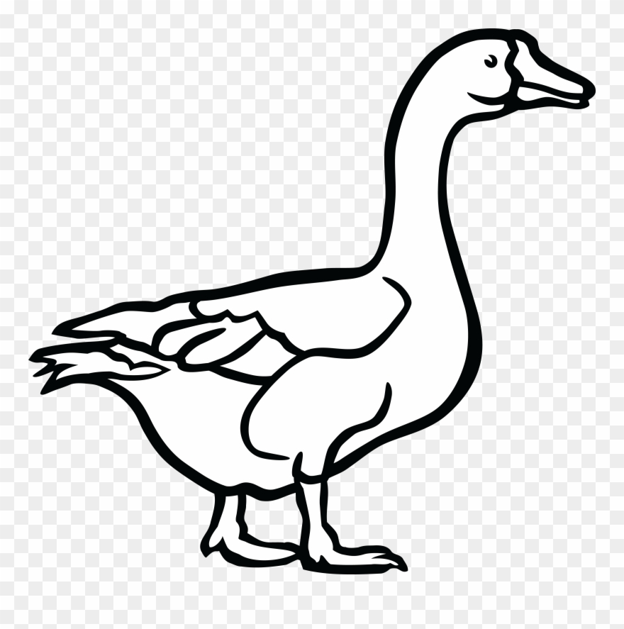 742 Free Clipart Of A Goose In Black And White Duck.