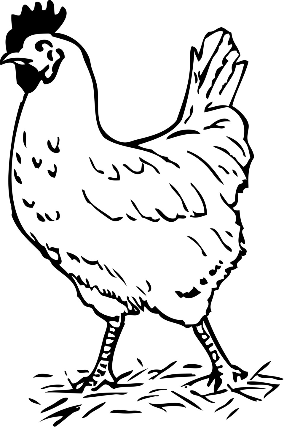 Chicken Clipart Black And White Hen Clipart Black And White.