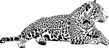 1499 Jaguar free clipart.