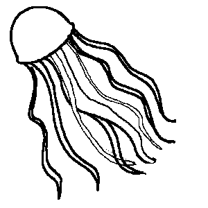 Jellyfish Clipart Black And White.