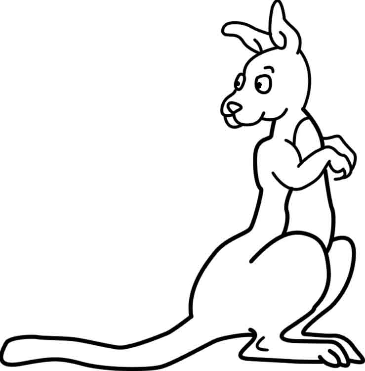 Free Pictures Of A Kangaroo, Download Free Clip Art, Free.
