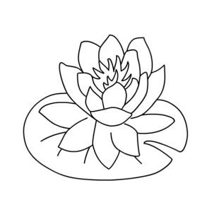 lily pad clipart black and white.