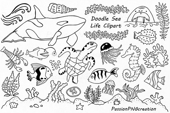 Doodle Marine Life Clipart, Sea Life clip art, Ocean life.