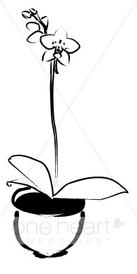 Black and White Potted Phalaenopsis Orchid Clipart.