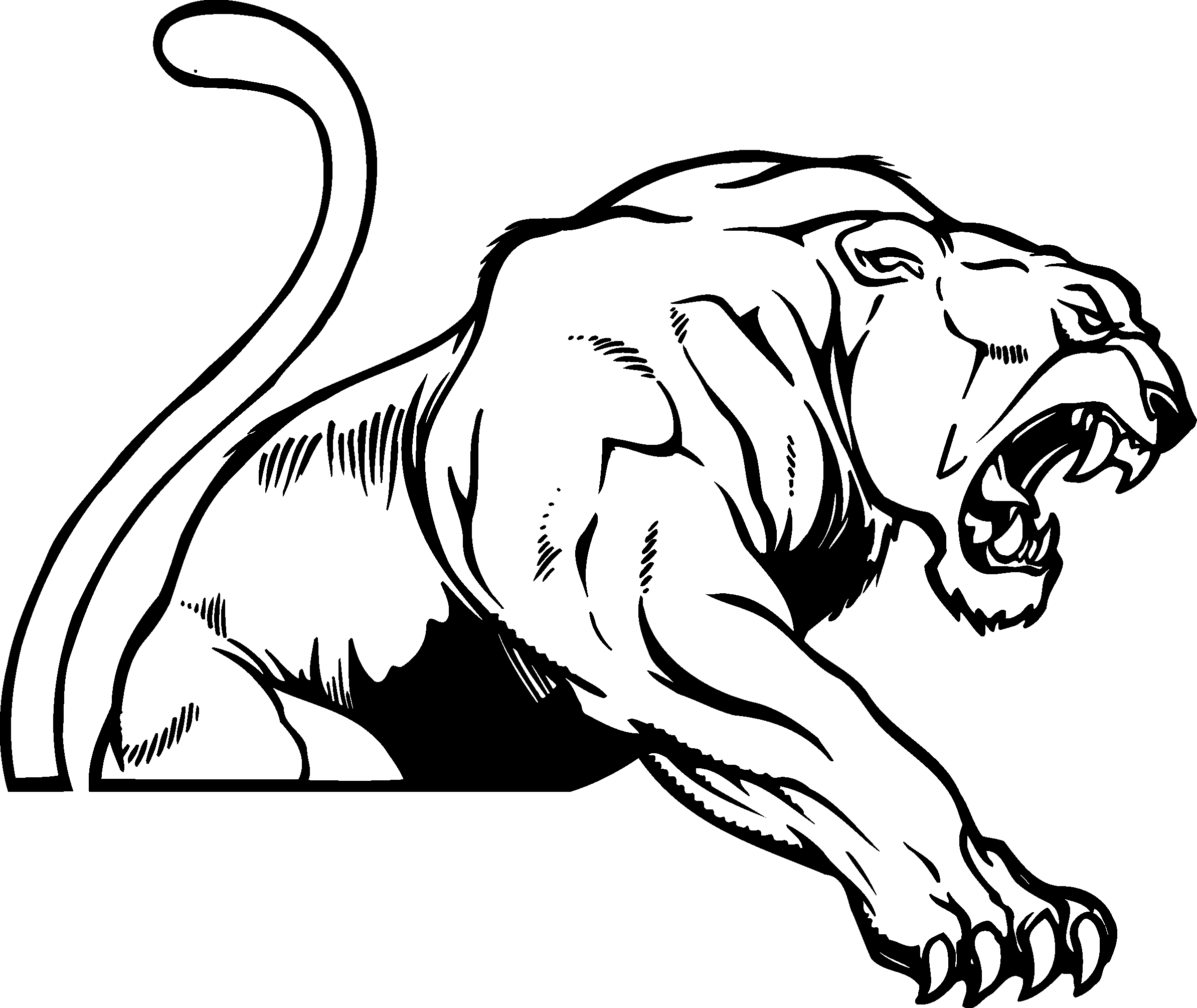 Free White Panther Cliparts, Download Free Clip Art, Free.