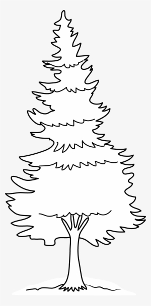 black and white pine tree clip art 20 free Cliparts | Download images