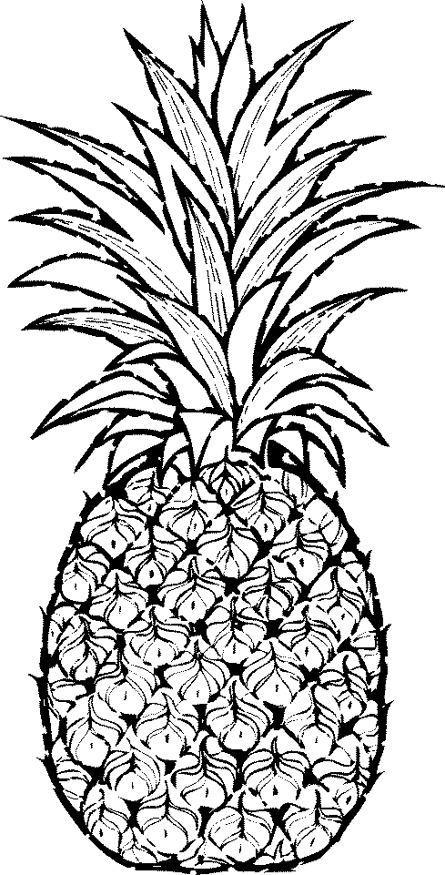 Pineapple clip art fruit clip art downloadclipart org.