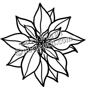 black and white poinsettia clip art 20 free Cliparts | Download images ...