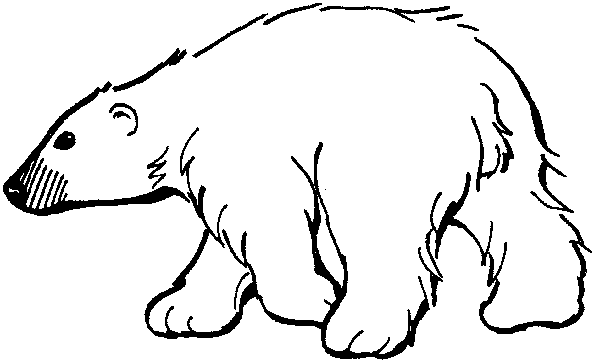 black-and-white-polar-bear-clipart-20-free-cliparts-download-images