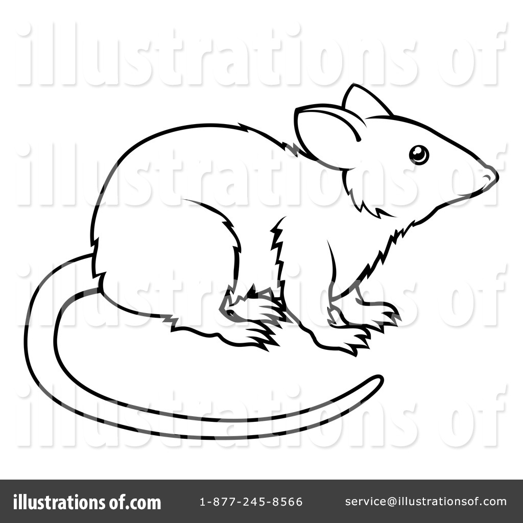 Black And White Rat Clipart.