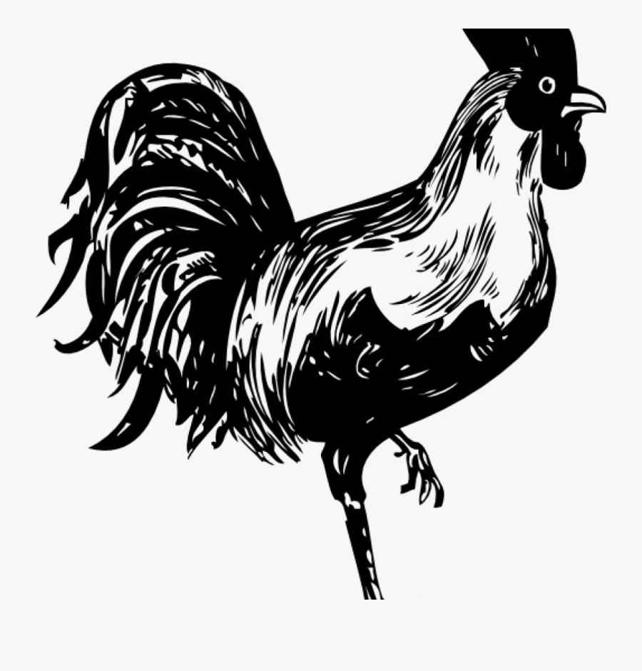 Rooster Clipart Black And White Rooster Clip Art At.
