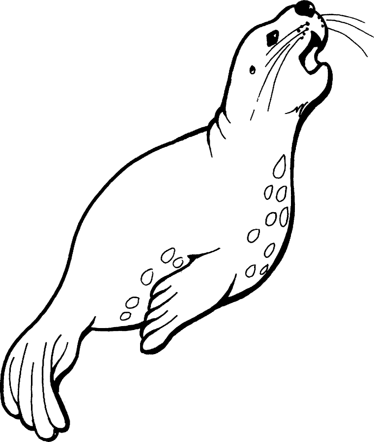 Free Seal Clipart Black And White, Download Free Clip Art.