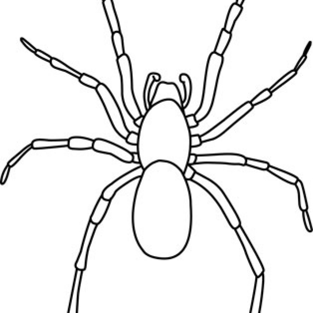 spiders clipart black and white 10 free Cliparts | Download images on ...