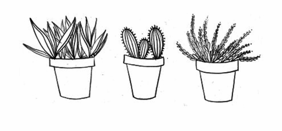 black and white succulent clipart 10 free Cliparts | Download images on