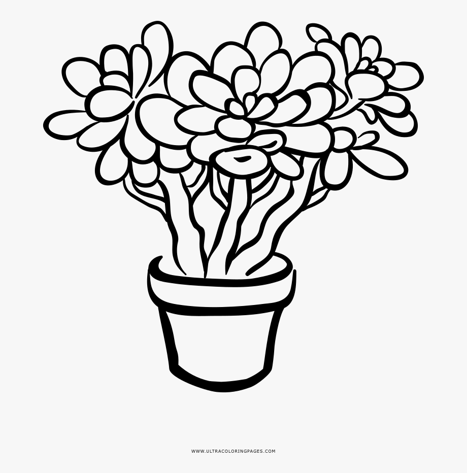 black and white succulent clipart 10 free Cliparts | Download images on