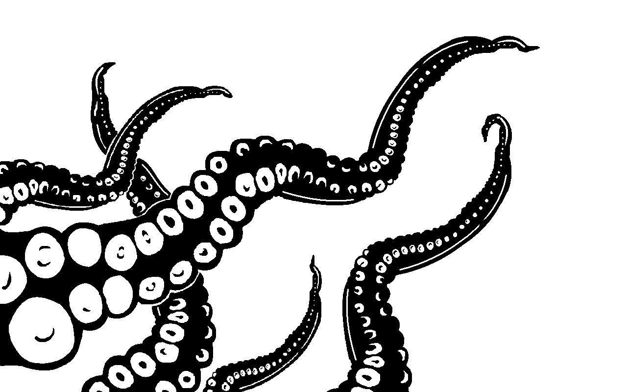 Octopus black and white octopus black and white clipart 7.