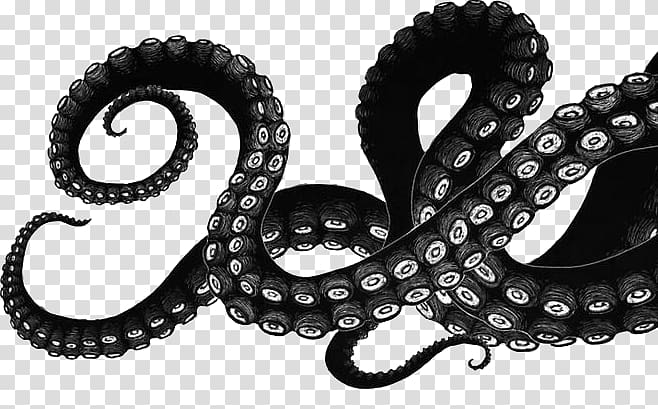 White and black octopus , Octopus Squid Drawing Tentacle Art.