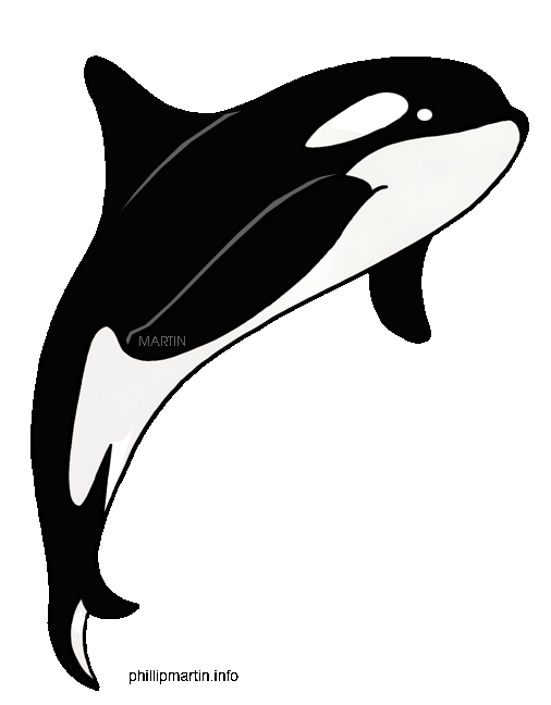 Whale black and white whale clip art black and white free clipart.