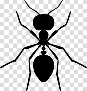 Ant Insect, Black ants simple pen transparent background PNG clipart.