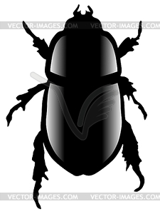 Beetle Clipart Black And White.