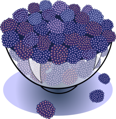 Image: Blackberries.