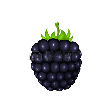 5,687 Blackberry Cliparts, Stock Vector And Royalty Free.