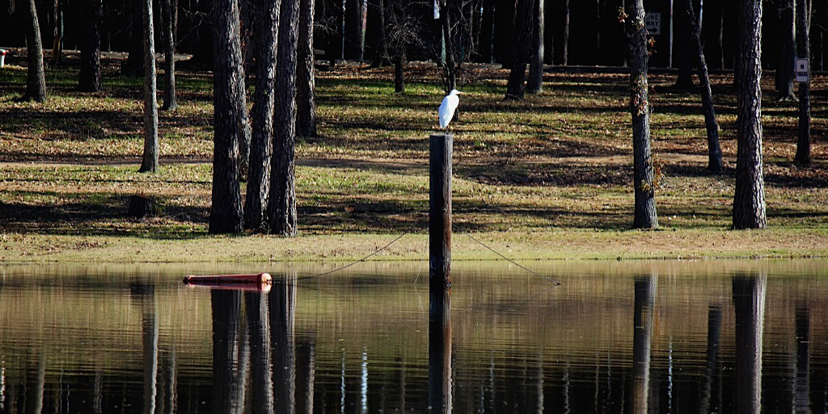 Cypress Black Bayou Recreation and Water Conservation.