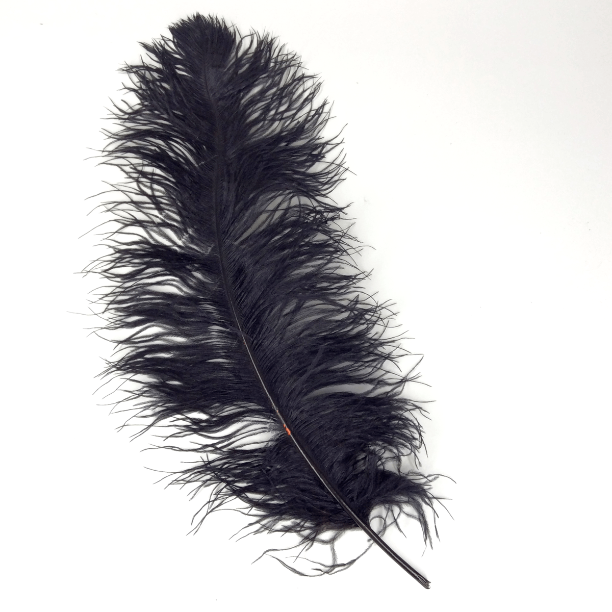 Black Feathers Png, png collections at sccpre.cat.