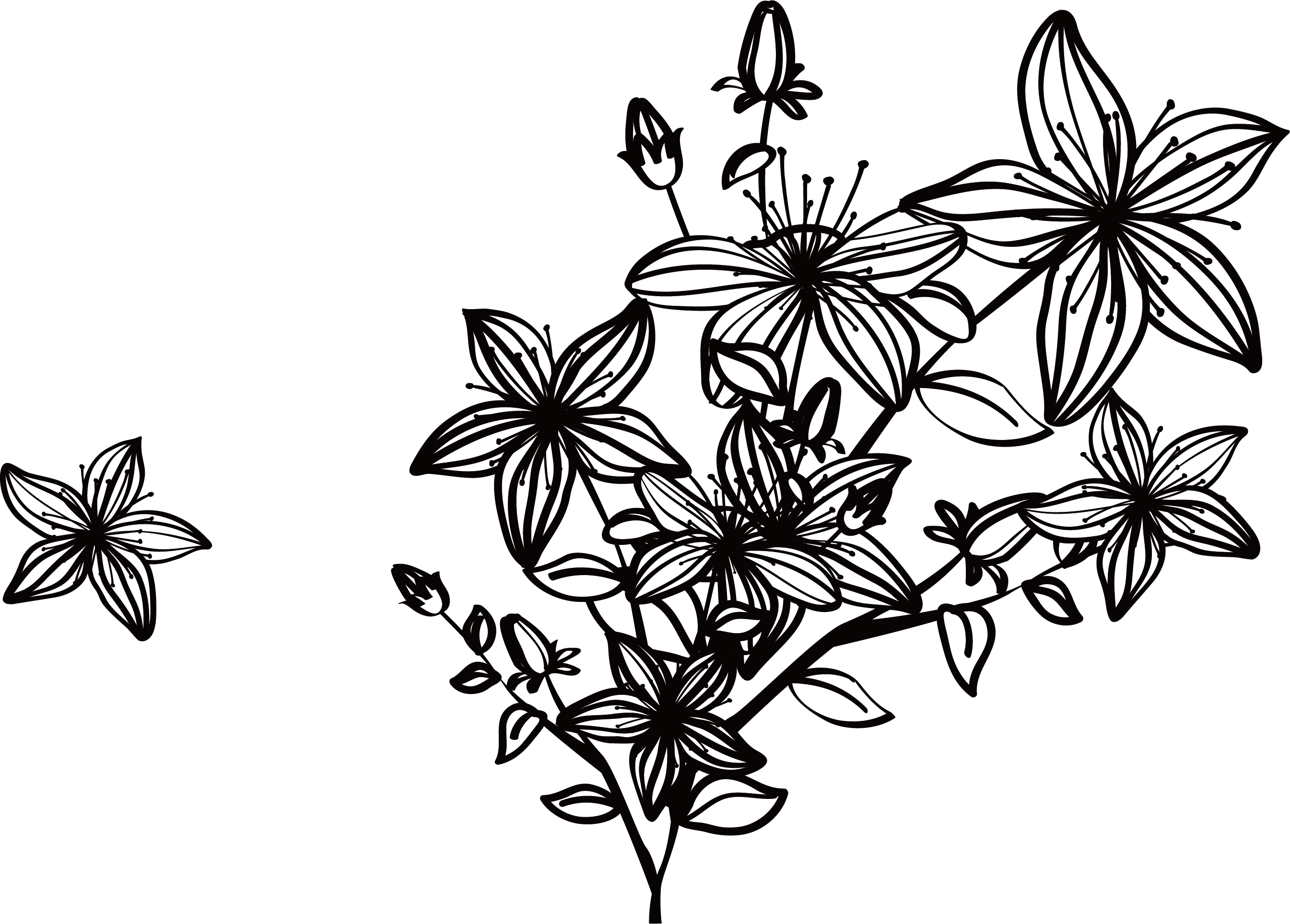 black flowers png 20 free Cliparts | Download images on Clipground 2021