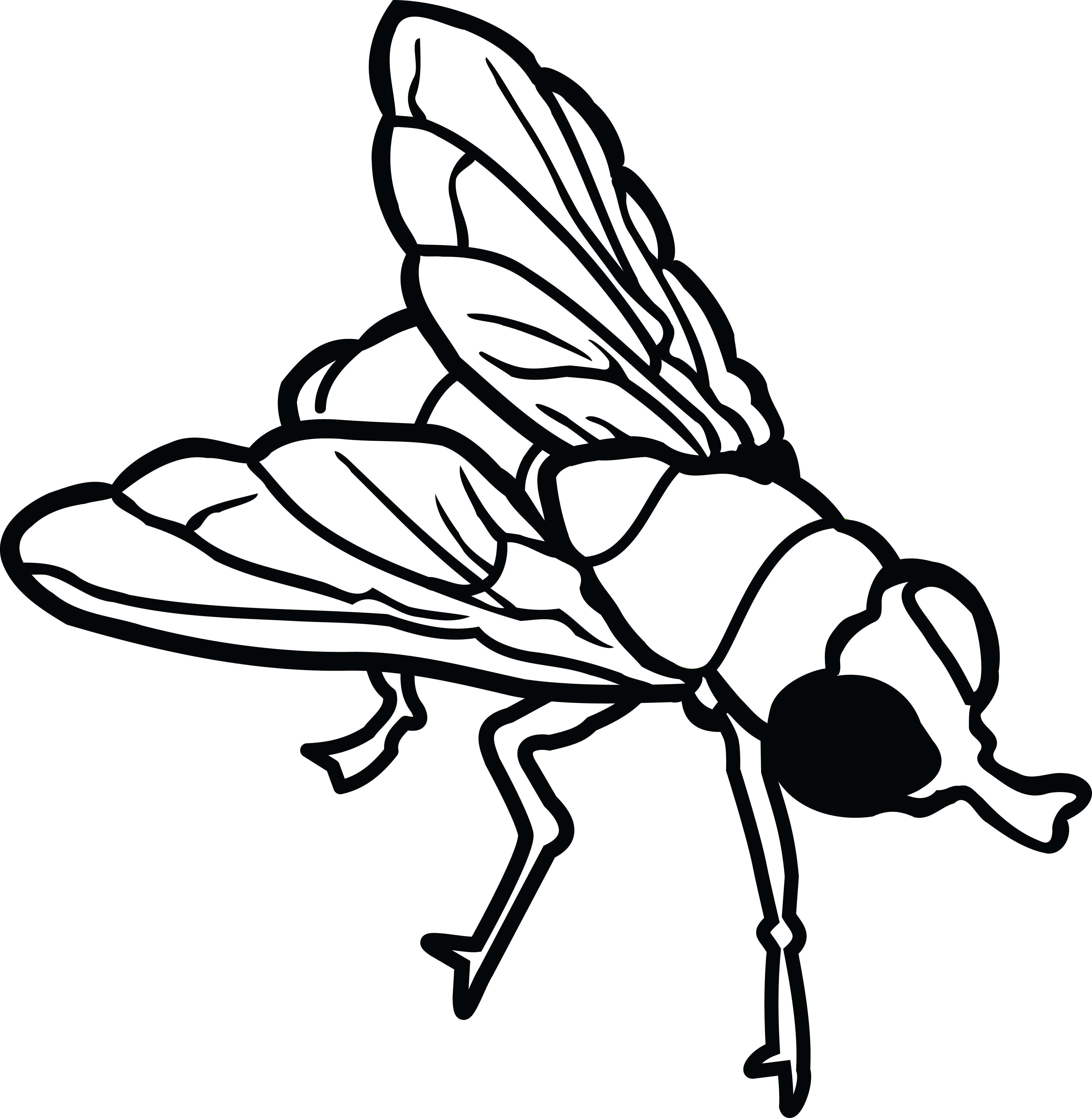 HD Free Clipart Of A Fly.