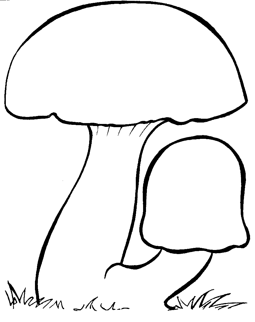 Fungus 20clipart.
