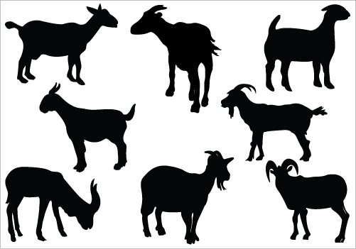 Black goat clipart 20 free Cliparts | Download images on ...