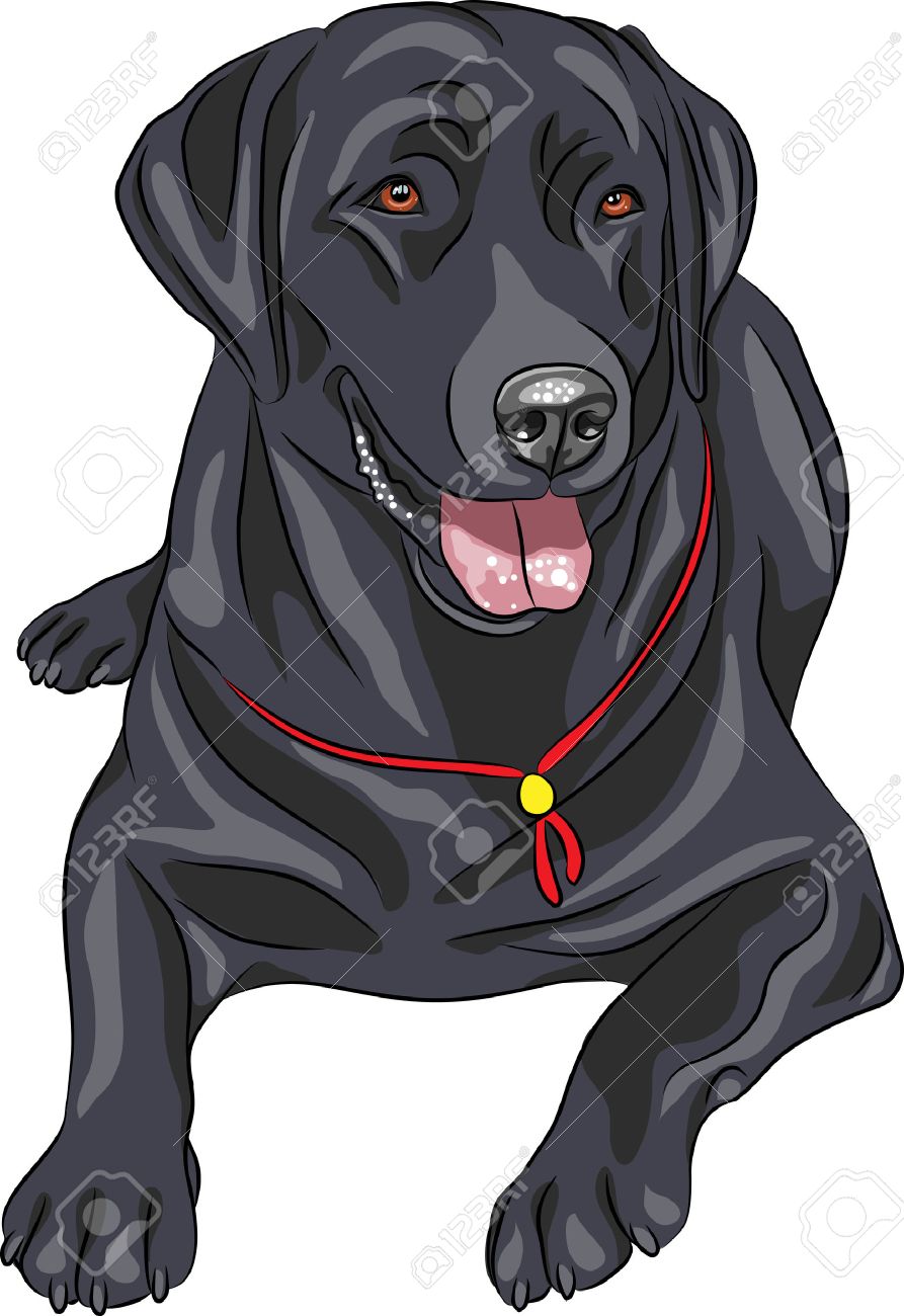 black labrador retriever clip art 20 free Cliparts | Download images on