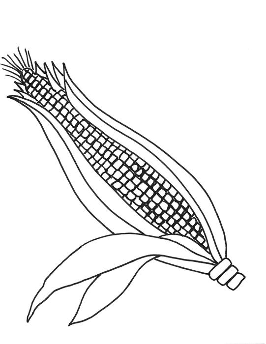 Ear of Corn Clip Art.