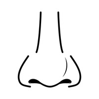 Nose clipart 20 free Cliparts Download images on