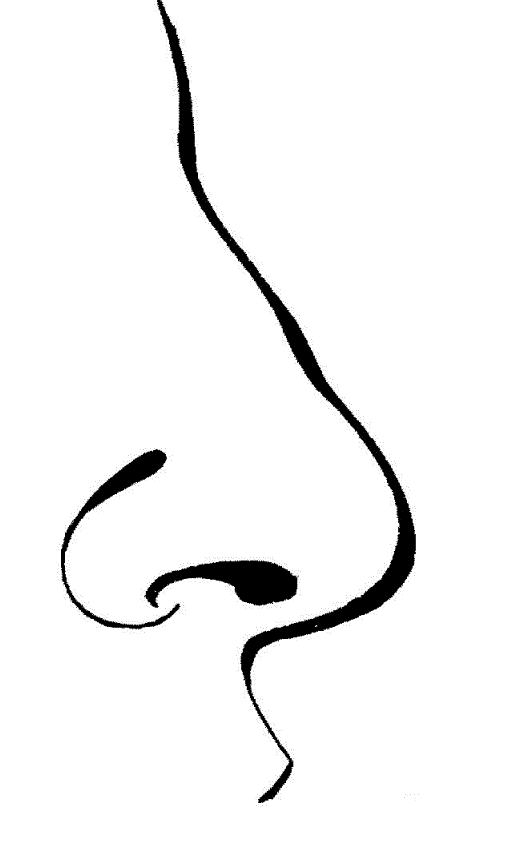 Clipart nose black and white.