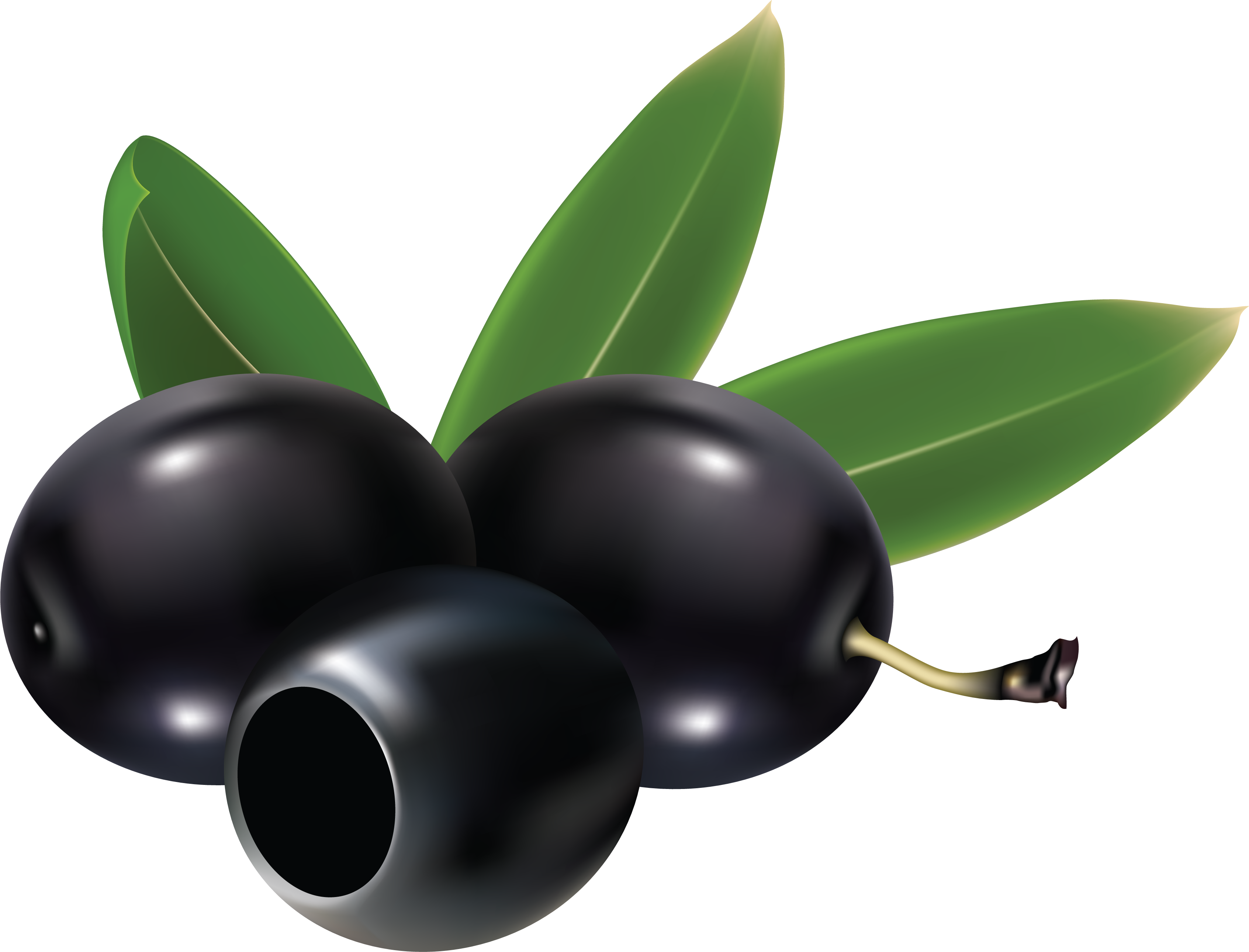 Black Olives Clipart 20 Free Cliparts Download Images On Clipground 2024 