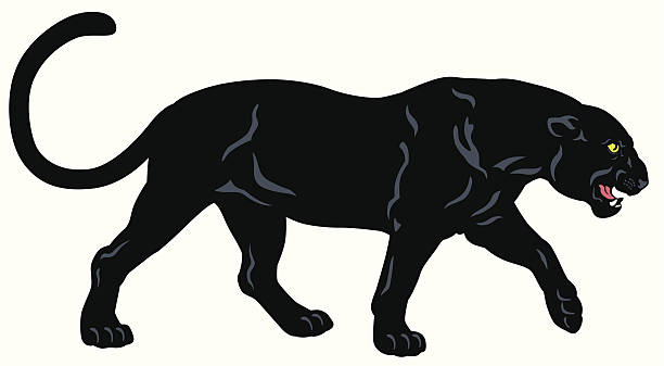 Black Panther Clip Art 20 Free Cliparts Download Images On Clipground