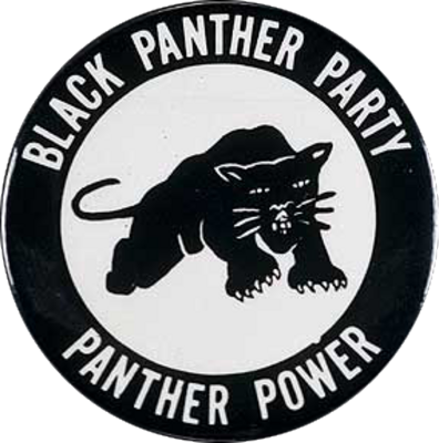 What We Don\'t Learn About the Black Panther Party—but Should.