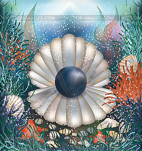 Underwater background with black pearl,.