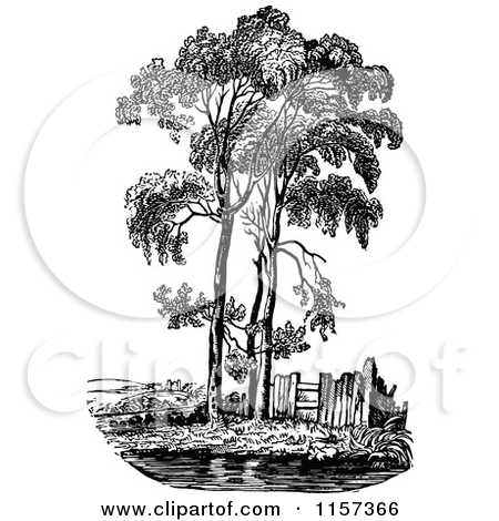 Clipart of a Retro Vintage Black and White Poplar Tree.