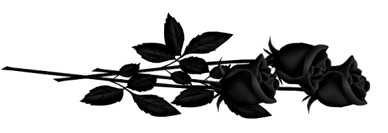 black rose png 20 free Cliparts | Download images on Clipground 2021