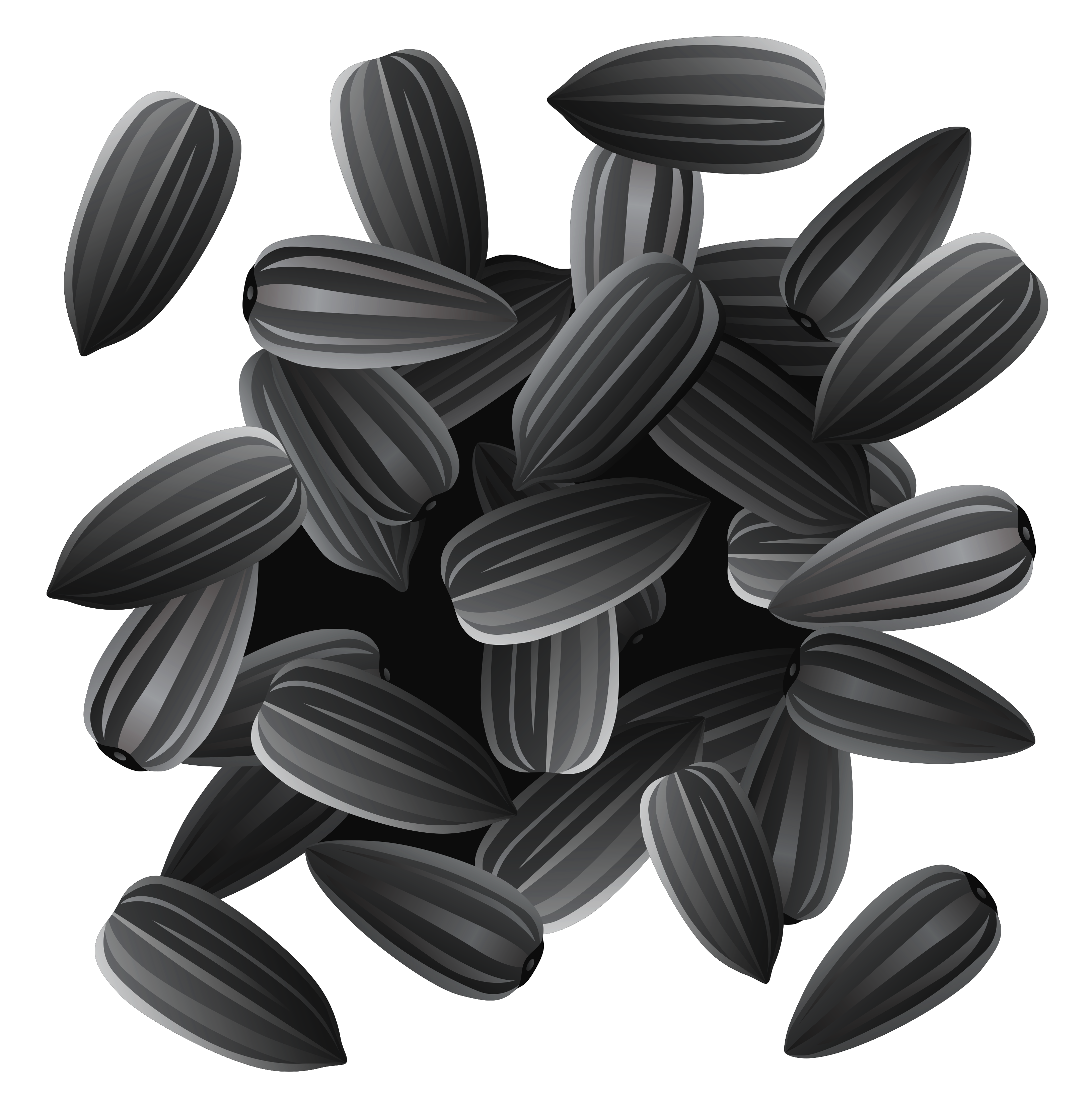 Sunflower Seeds Clipart Free Cliparts Download Images On Clipground