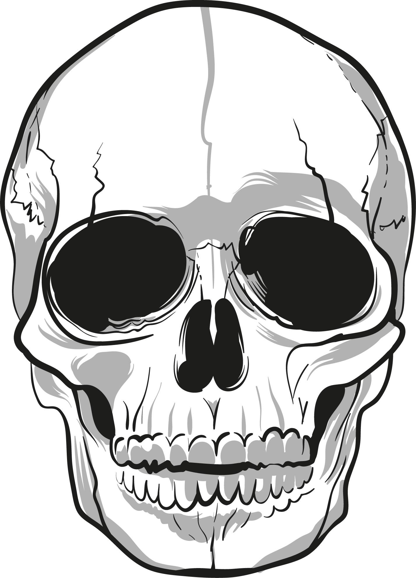 Skull PNG, White And Black Skull Clipart Free Download.