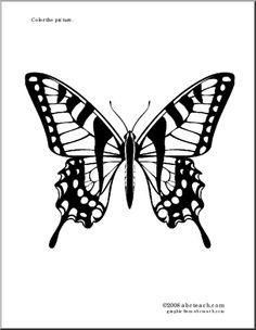 Swallowtail butterfly clipart.