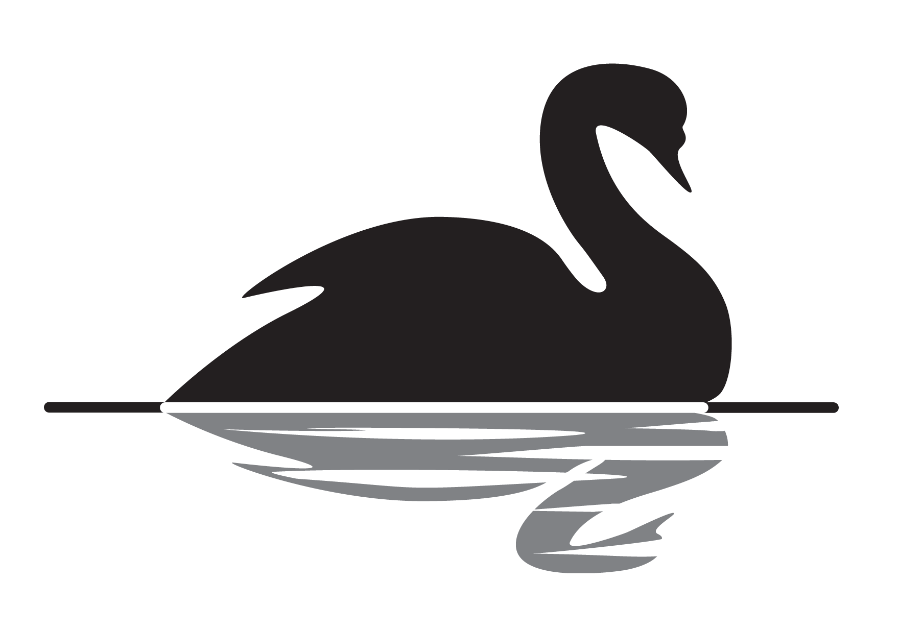 Black swan clipart clipartfest 4.