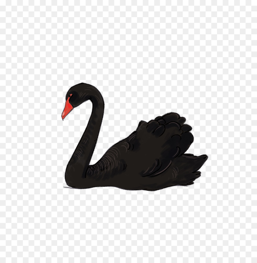 Swan goose Mute swan Bird.