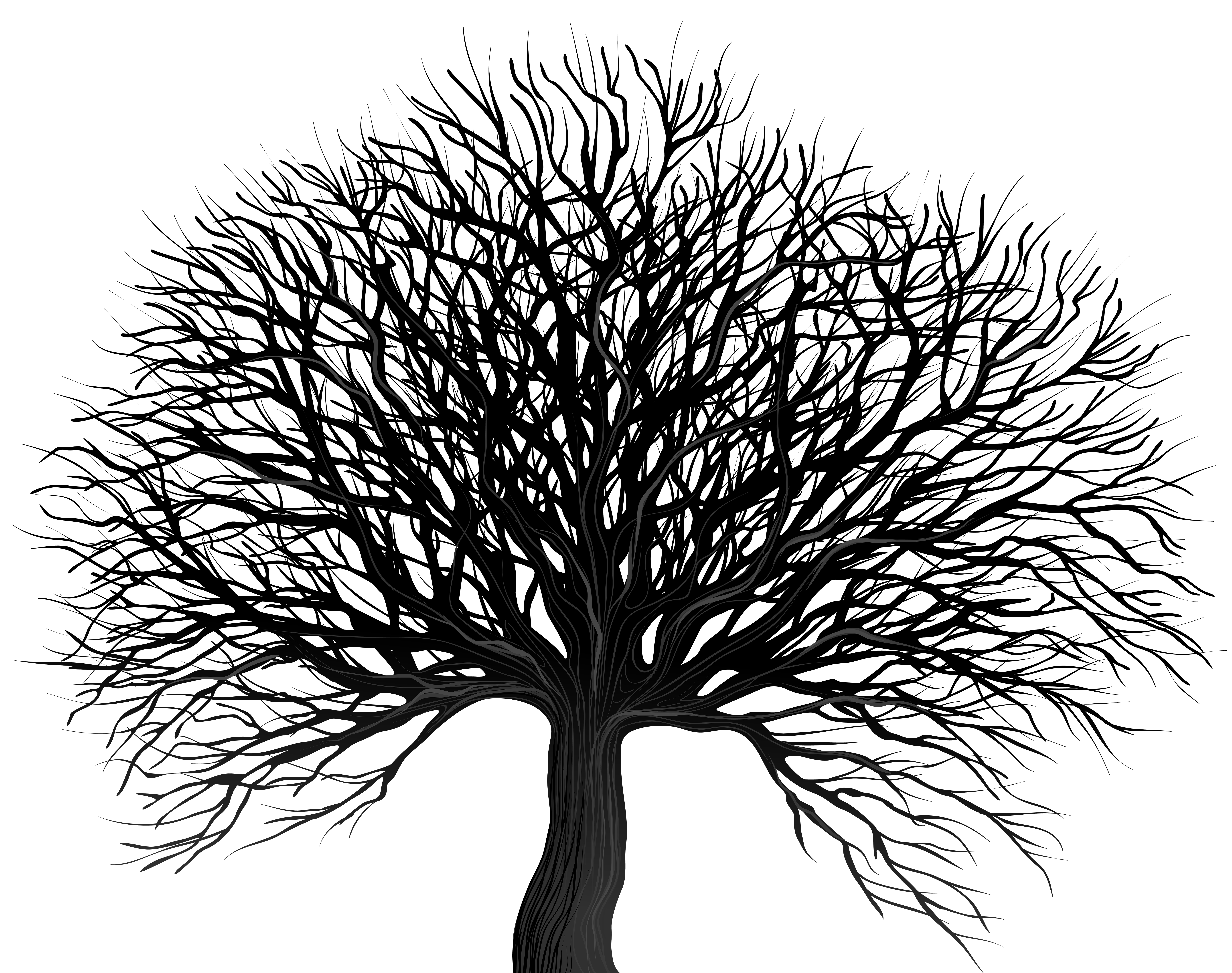 Empty Tree Cliparts Tree Clipart Black And White Png Cliparts | Images