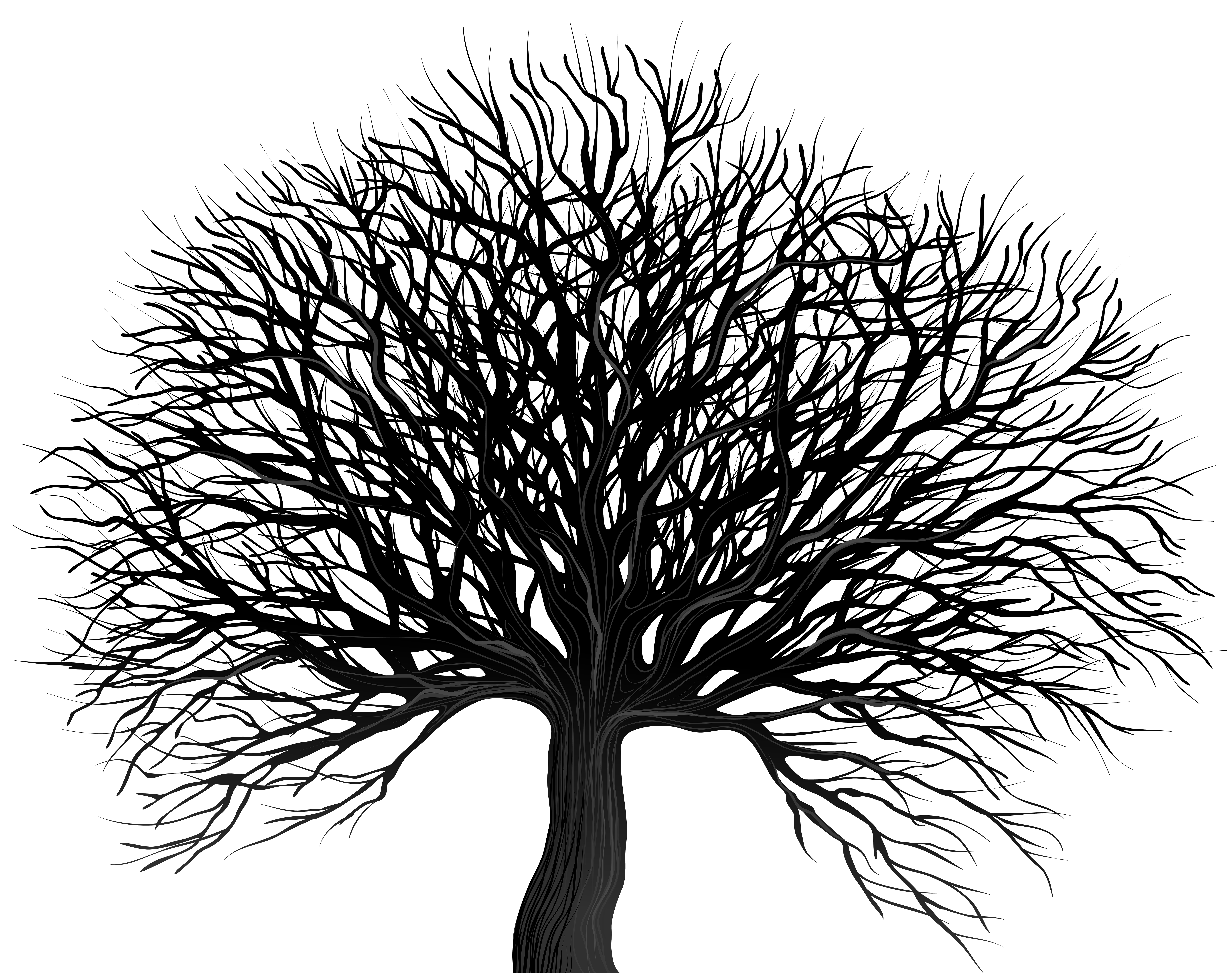 Tree Black Outline Png