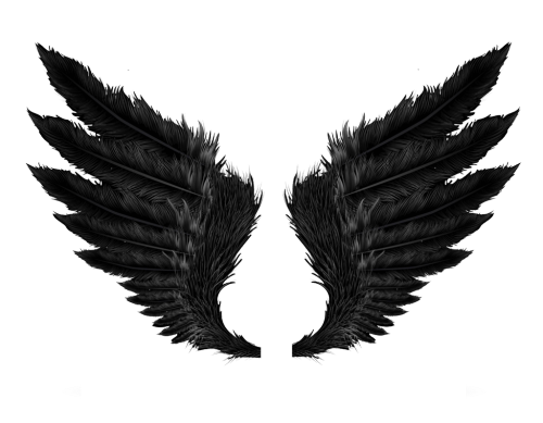 wings black tumblr png editpng dark grunge.